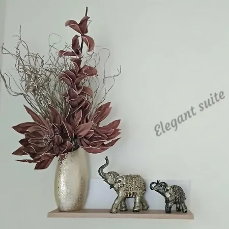 Iris Deluxe 2 公寓 卡瓦拉