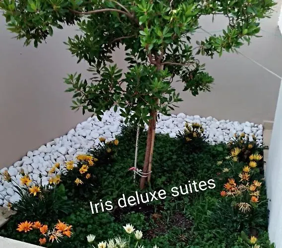 Iris Deluxe 2