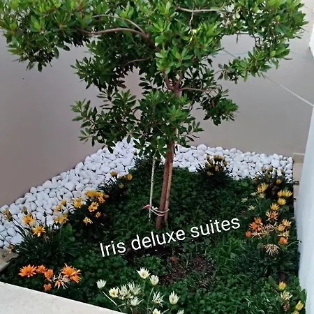 Iris Deluxe 2