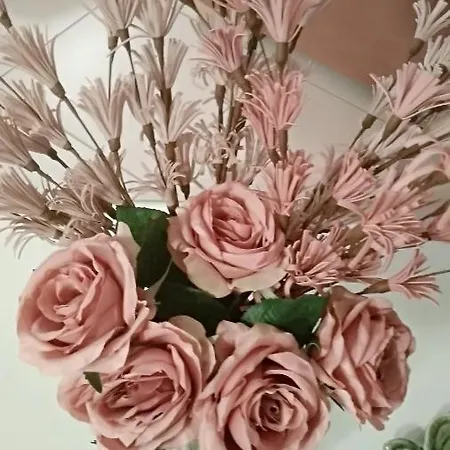 Iris Deluxe 2 דירה *