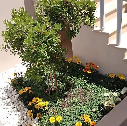 Lägenhet Iris Deluxe 2